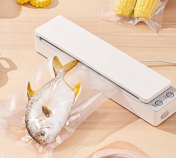 Dịch vụ sửa chữa máy hút chân không Vesta chính hãng