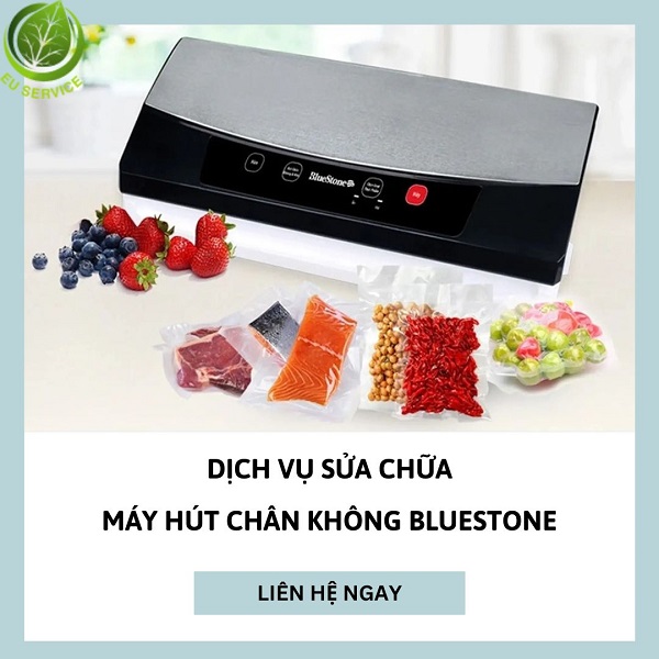 Sửa chữa máy hút chân không Bluestone - Linh kiện chính hãng